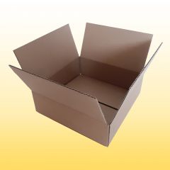 360 Karton 22 cm x 22 cm x 7 cm (BxTxH)